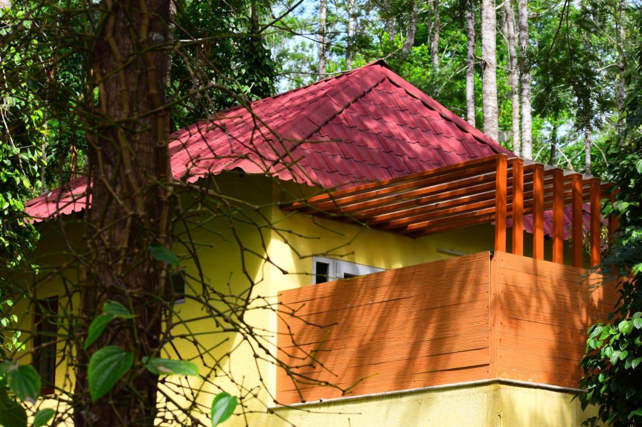 The Brook Resorts & Spa Yercaud Exterior foto