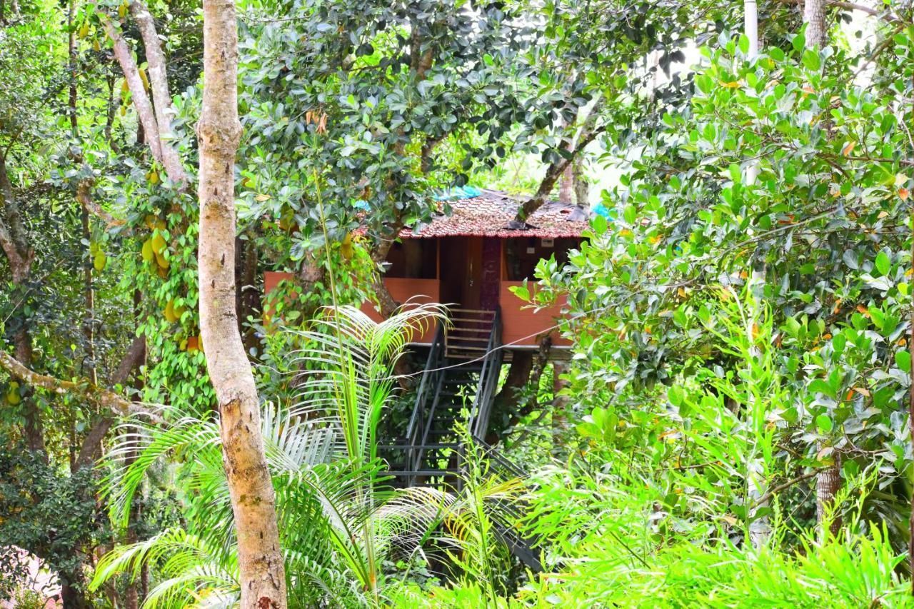 The Brook Resorts & Spa Yercaud Exterior foto